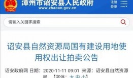 漳州最新爆料新闻,揭秘某重大事件背后真相